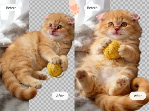 ई-कॉमर्स और मार्केटप्लेस के लिए पिक्सेल-सटीक कटआउट