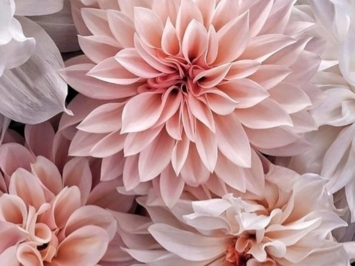 Testo ad Immagine ad Alta Velocità per Idee Creative