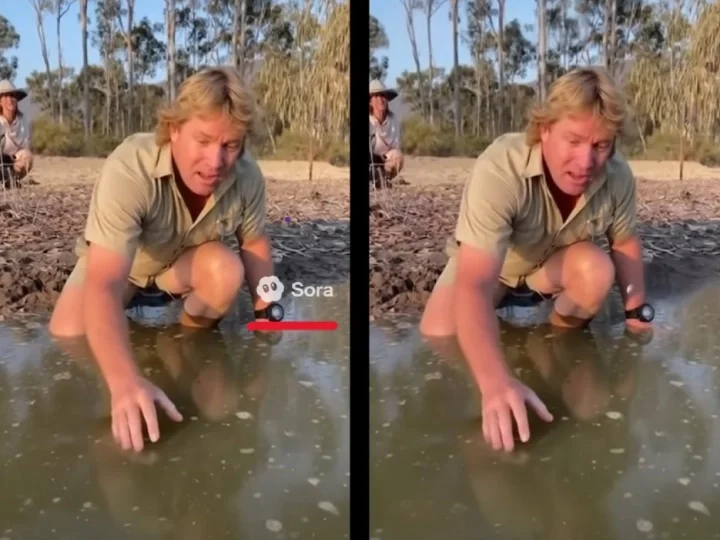 用免费 Sora 2 水印去除器进行社交媒体内容创作